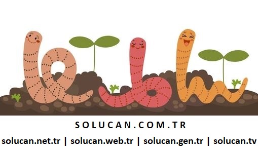 solucan.tv.tr e-ticaret projesi & web sitesi için yatırımcı iş ortağı arıyoruz.